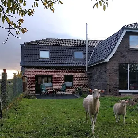 Апартаменты Nibo Hof - Ruhig Und Verkehrsguenstig *