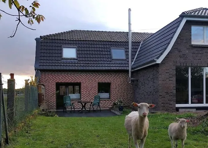Appartement Nibo Hof - Ruhig Und Verkehrsguenstig *
